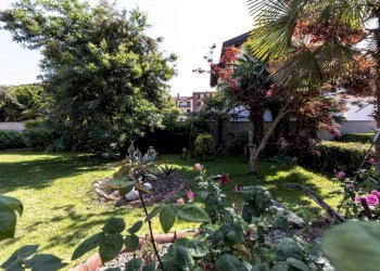 Giardino - Villa via Madonna delle Grazie, 46, Trecate - foto 3