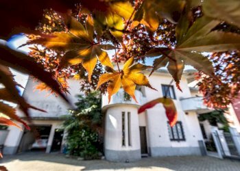Cortile interno - Villa via Madonna delle Grazie, 46, Trecate - foto 5