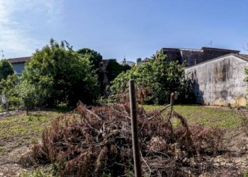 Terreno - Villa via Madonna delle Grazie, 46, Trecate - foto 34