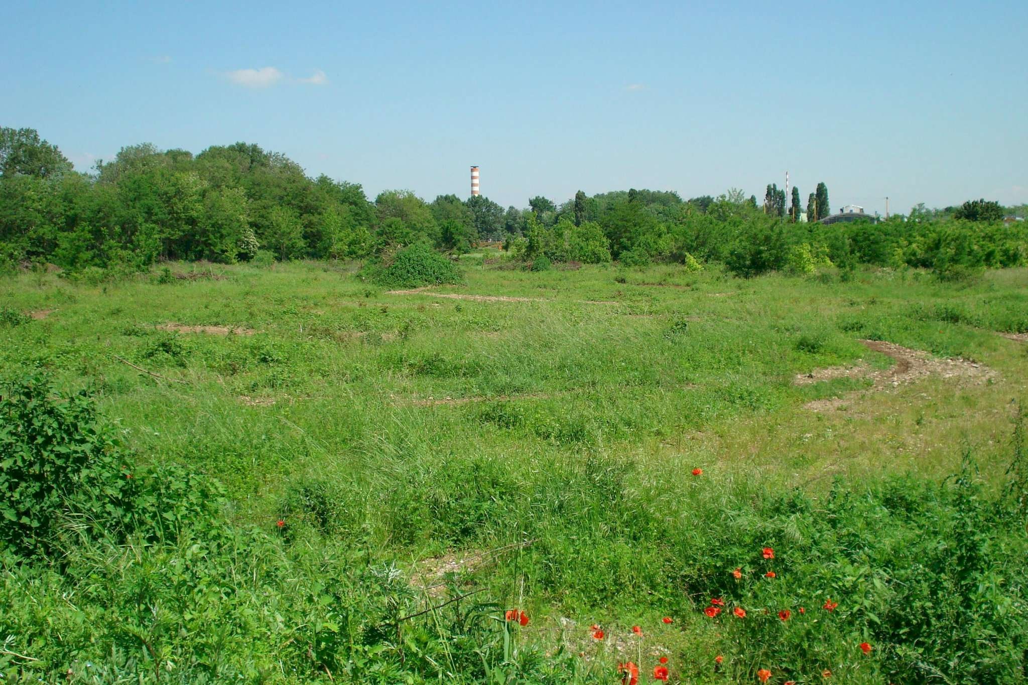terr - Agricultural land via CASCINA SELVA, snc, Cesate - photo 3
