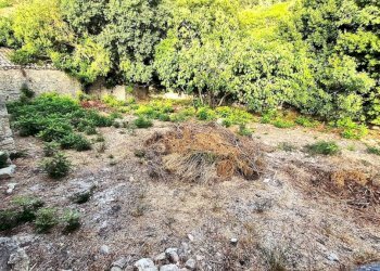 Terreno - Rustic SP31, Erice - photo 6
