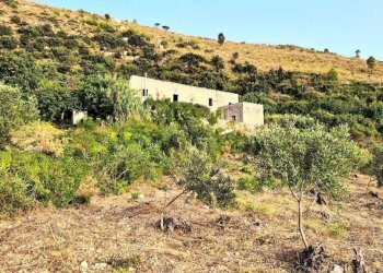 Terreno - Rustic SP31, Erice - photo 11