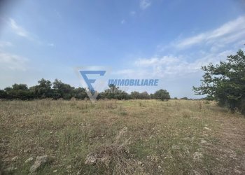 Terreno agricolo Traversa Masseria Gargallo, Siracusa - foto 2