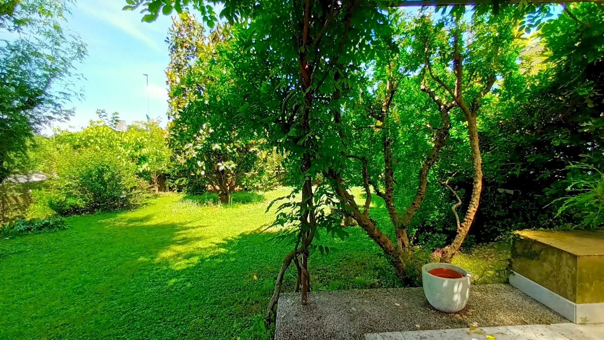 Villa a Schiera Conegliano - foto 3