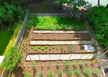 Villa a Schiera Conegliano - foto 19