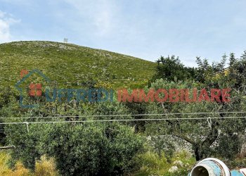 Terreno agricolo Formia - foto 7