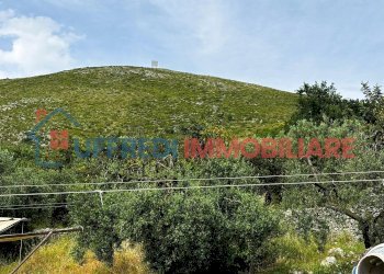 Terreno agricolo Formia - foto 8