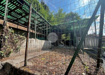 Quadrilocale Via liliano brovarone, Biella - foto 23