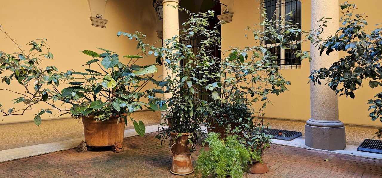 Appartamento Bologna - foto 2