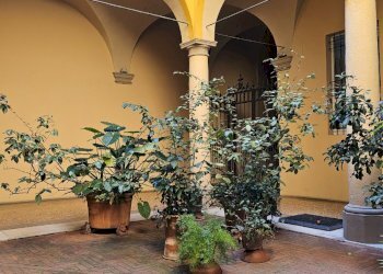 Appartamento Bologna - foto 15