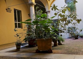 Appartamento Bologna - foto 16
