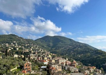 Vista - Appartamento via di Mezzo, Camogli - foto 6