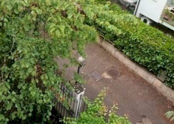 Cortile interno - Villa a Schiera viale Mario Rotili, Benevento - foto 9