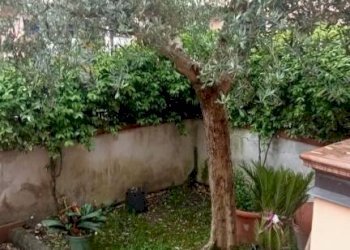 Giardino - Villa a Schiera viale Mario Rotili, Benevento - foto 21