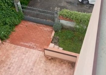 Posto macchina - Villa a Schiera viale Mario Rotili, Benevento - foto 26