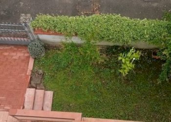 Posto macchina - Villa a Schiera viale Mario Rotili, Benevento - foto 32