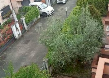 Cortile interno - Villa a Schiera viale Mario Rotili, Benevento - foto 41
