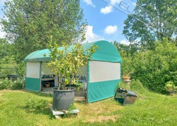 Independent house Mondarello , Barge - photo 47