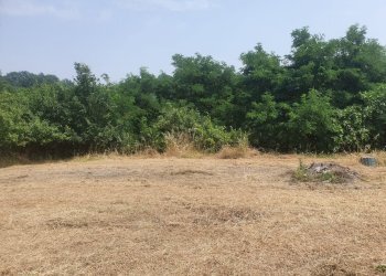 Casale regione cervino, 9, Mombaruzzo - foto 45