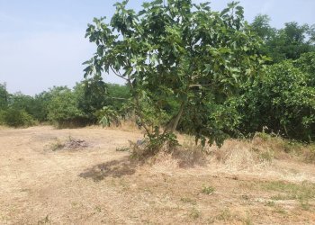 Casale regione cervino, 9, Mombaruzzo - foto 46