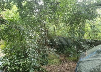 Casale regione cervino, 9, Mombaruzzo - foto 55