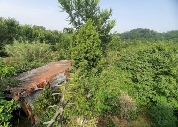 Casale regione cervino, 9, Mombaruzzo - foto 97