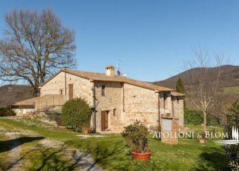 Rustic strada provinciale, 478, Radicofani - photo 3