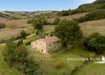 Rustic strada provinciale, 478, Radicofani - photo 38