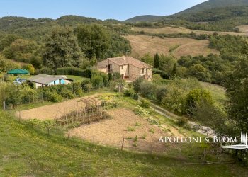 Rustic strada provinciale, 478, Radicofani - photo 42