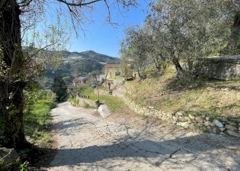 Villa Strada Sanferian, San Biagio della Cima - photo 14