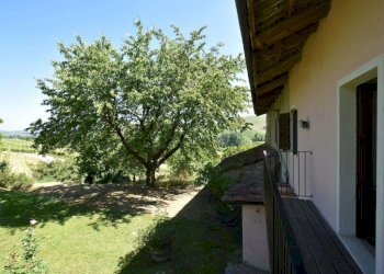 Rustico via Alba Monforte, Castiglione Falletto - foto 22