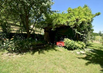 Rustico via Alba Monforte, Castiglione Falletto - foto 23