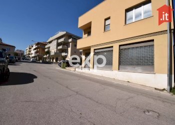 Negozio Vasto - foto 4