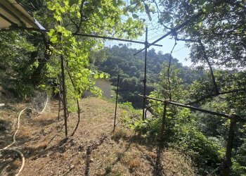 Villa a Schiera VIA ALLA SORIA, Genova - foto 6