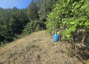 Villa a Schiera VIA ALLA SORIA, Genova - foto 7