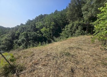 Villa a Schiera VIA ALLA SORIA, Genova - foto 11