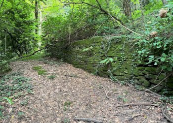 Rustico via Inverso Colletto, 22, Torre Pellice - foto 9