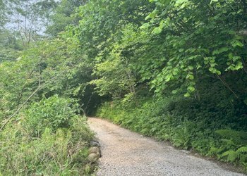 Rustico via Inverso Colletto, 22, Torre Pellice - foto 10