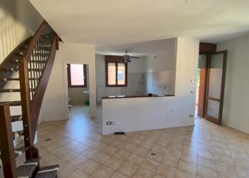 Apartment Castel San Pietro Terme - photo 4