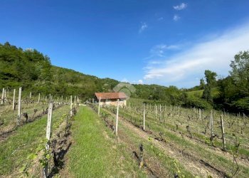 Independent house Regione Gardino, Loazzolo - photo 19