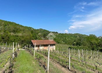 Independent house Regione Gardino, Loazzolo - photo 20