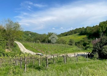 Independent house Regione Gardino, Loazzolo - photo 21
