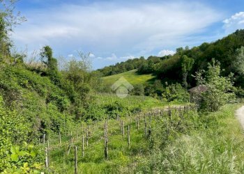 Independent house Regione Gardino, Loazzolo - photo 23