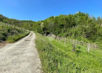 Independent house Regione Gardino, Loazzolo - photo 24