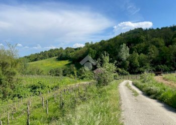 Independent house Regione Gardino, Loazzolo - photo 25