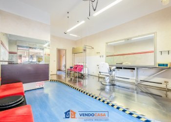 Locale Commerciale Piscina - foto 5