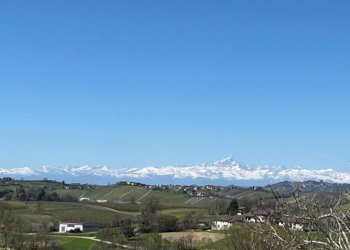 Vista - Rustico Castagnole delle Lanze - foto 8