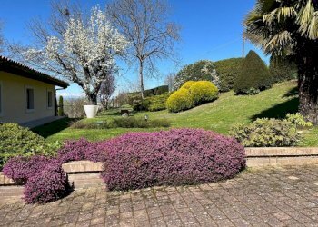 Giardino - Rustic Castagnole delle Lanze - photo 9