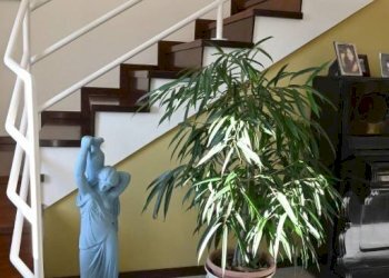 Scala - Rustic Castagnole delle Lanze - photo 28