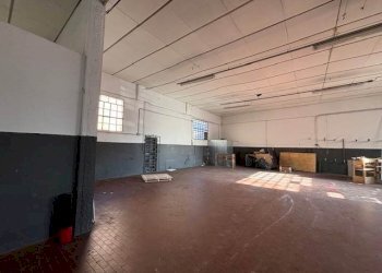 Capannone Vignola - foto 5